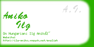 aniko ilg business card